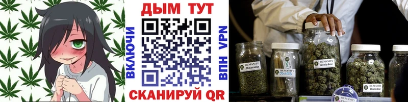 Бошки Шишки THC 21% Нея